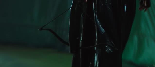 欲戴王冠必承其重 盘点动画中的家族继承人插图icecomic动漫3