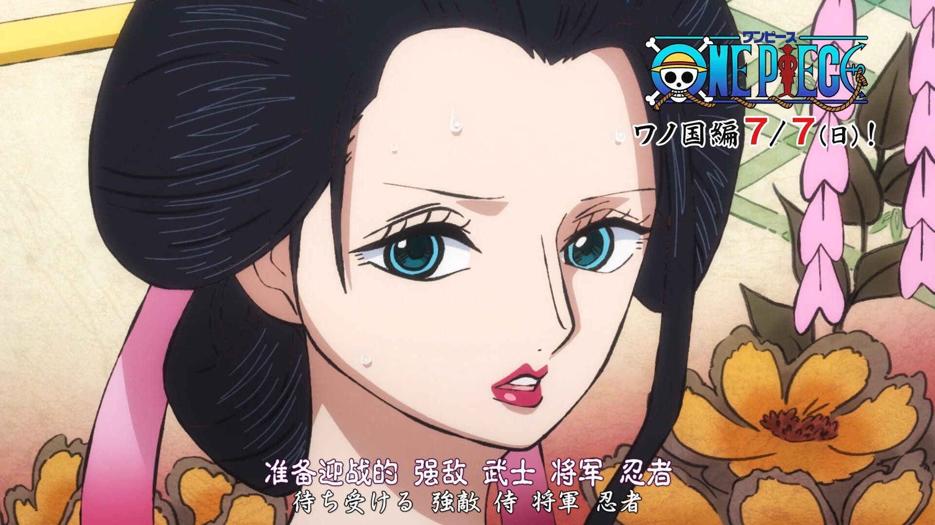 [Skytree][ONE PIECE 海贼王][888][X264][1080P][GB_BIG5_JP][MP4][CRRIP][简繁日中日双语内挂字幕]插图icecomic动漫