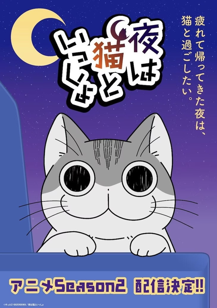 动画《与猫共度的夜晚》宣布第2季将于2023年配信插图icecomic动漫